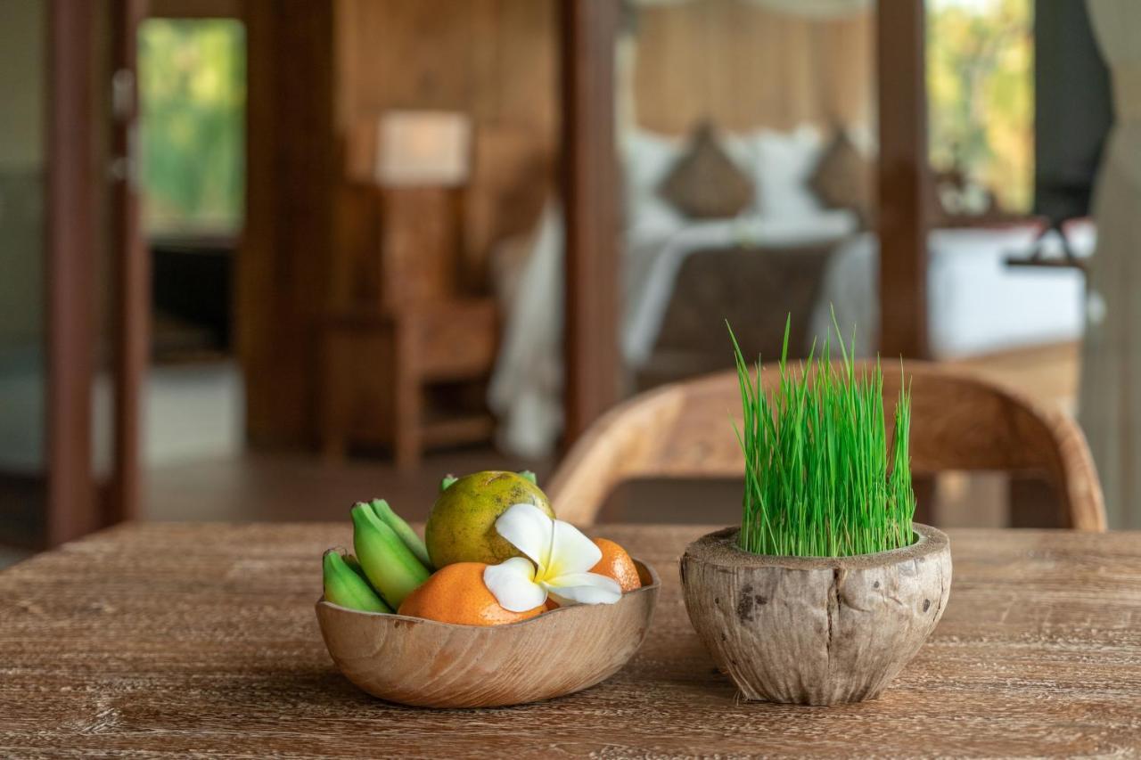 D'Bale Ananda Ubud Villa Exterior foto